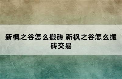 新枫之谷怎么搬砖 新枫之谷怎么搬砖交易